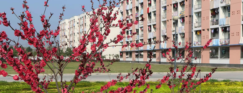 皖西卫生职业学院学费多少钱 皖西卫生职业学院学费一年多少钱