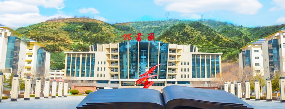2022�Ӱ�ְҵ����ѧԺ�����ƻ�,�Ӱ�ְҵ����ѧԺ�������������鼼��רҵ��������,