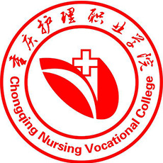 重庆护理职业学院,录取查询